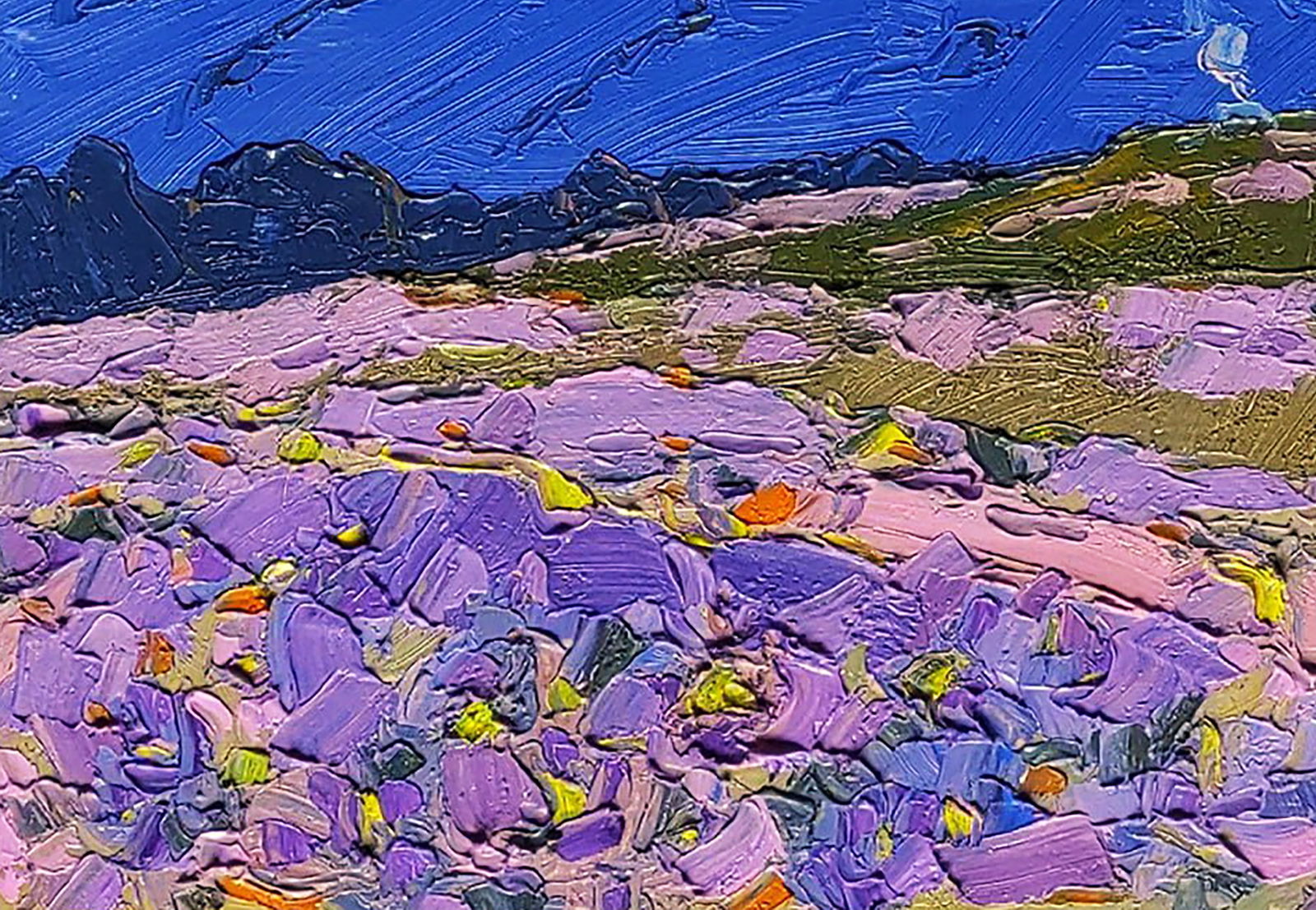 Oil painting Spring on a mountain meadow Yaroslav Savchyn - 4