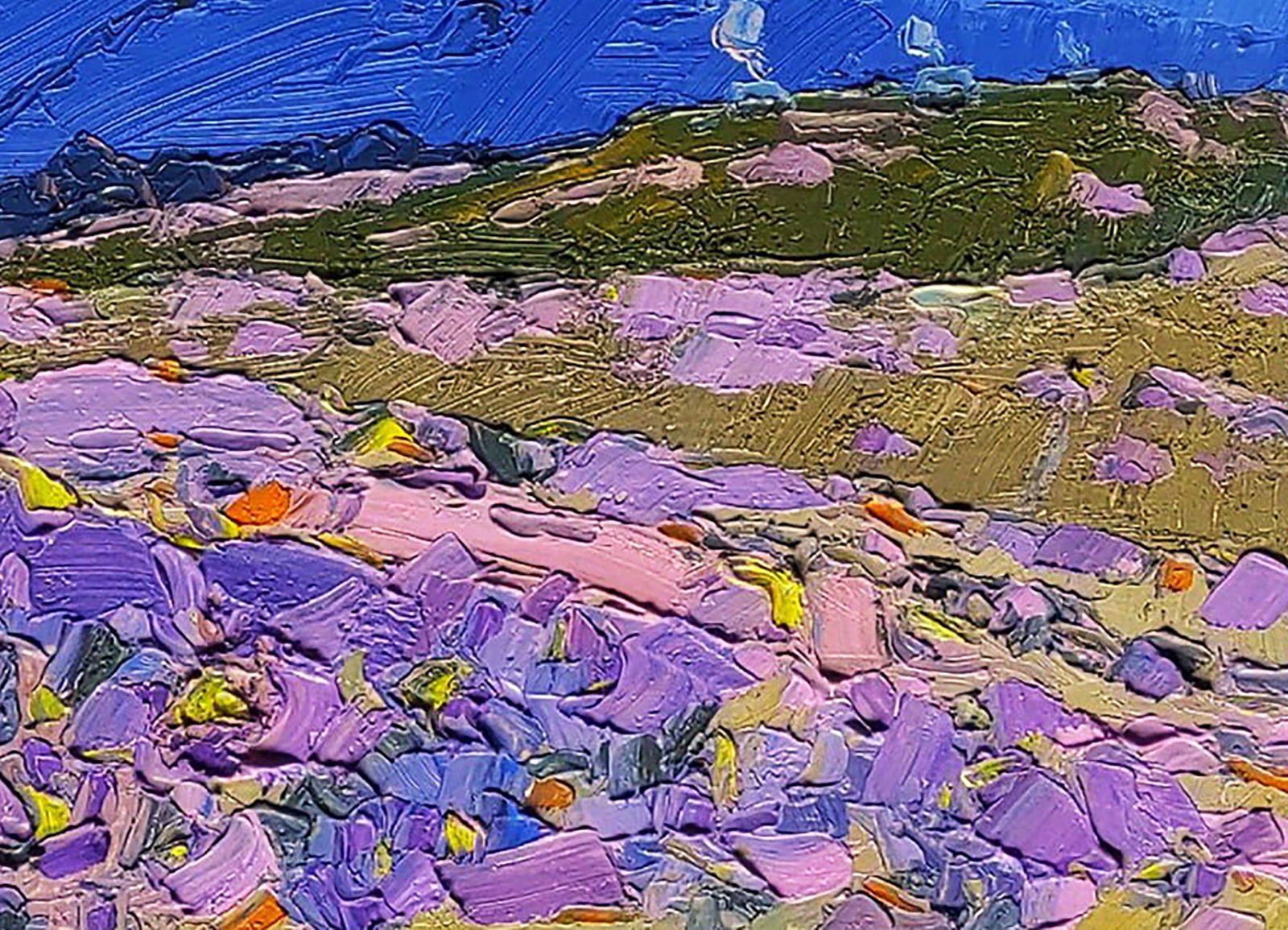 Oil painting Spring on a mountain meadow Yaroslav Savchyn - 5