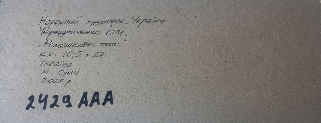 Oil painting Camomile field Alexander Nikolaevich Cherednichenko - 11