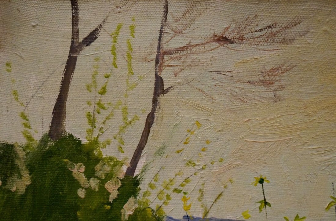 Oil painting Camomile field Chernikov Nikolay Vladimirovich - 3