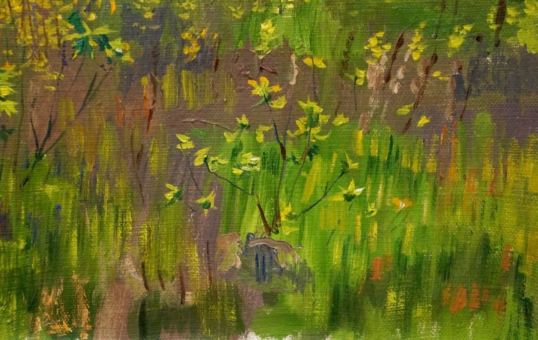 Oil painting Camomile field Chernikov Nikolay Vladimirovich - 5