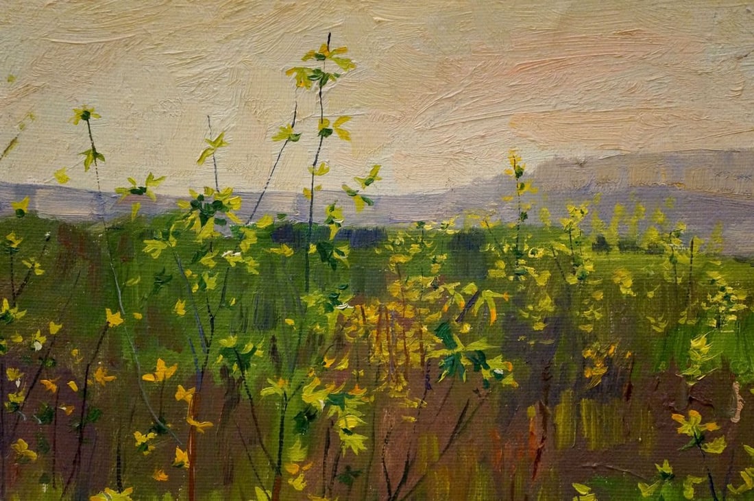 Oil painting Camomile field Chernikov Nikolay Vladimirovich - 6