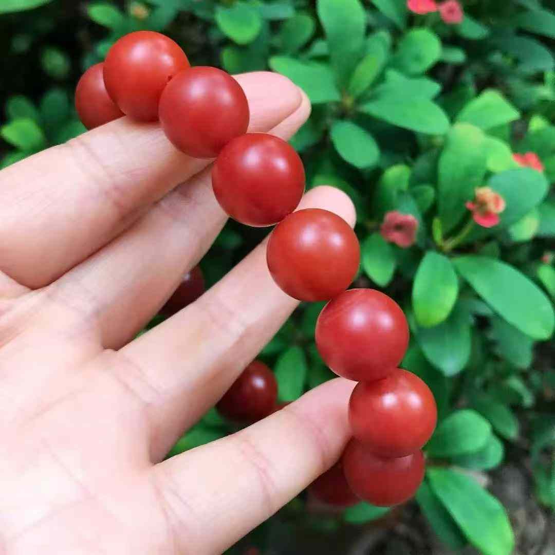 14mm Nanhong Hong Agate Beads Bracelet Bangle w Certificate - 3