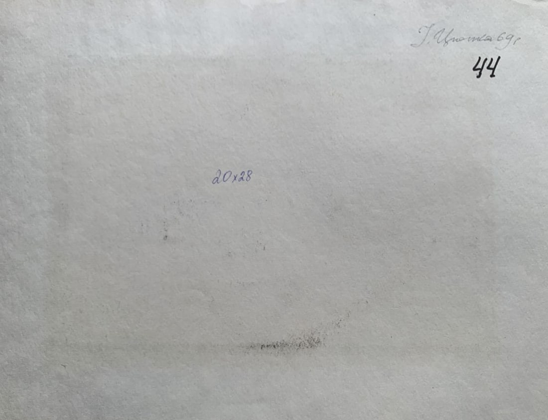 Oil painting Silence in the village Ivan Tsyupka - 9