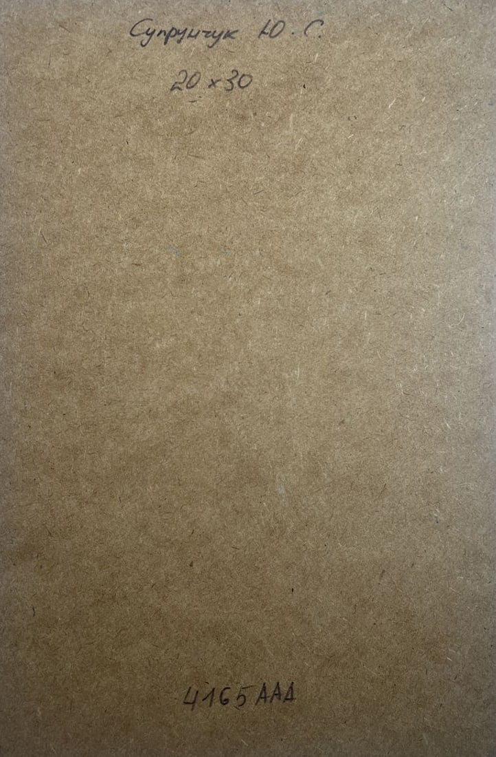 Oil painting Windy weather by the river Yuriy Suprunchuk - 10