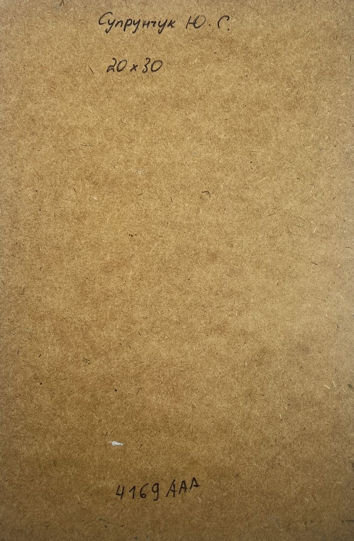 Oil painting Seeing off the sunset Yuriy Suprunchuk - 10