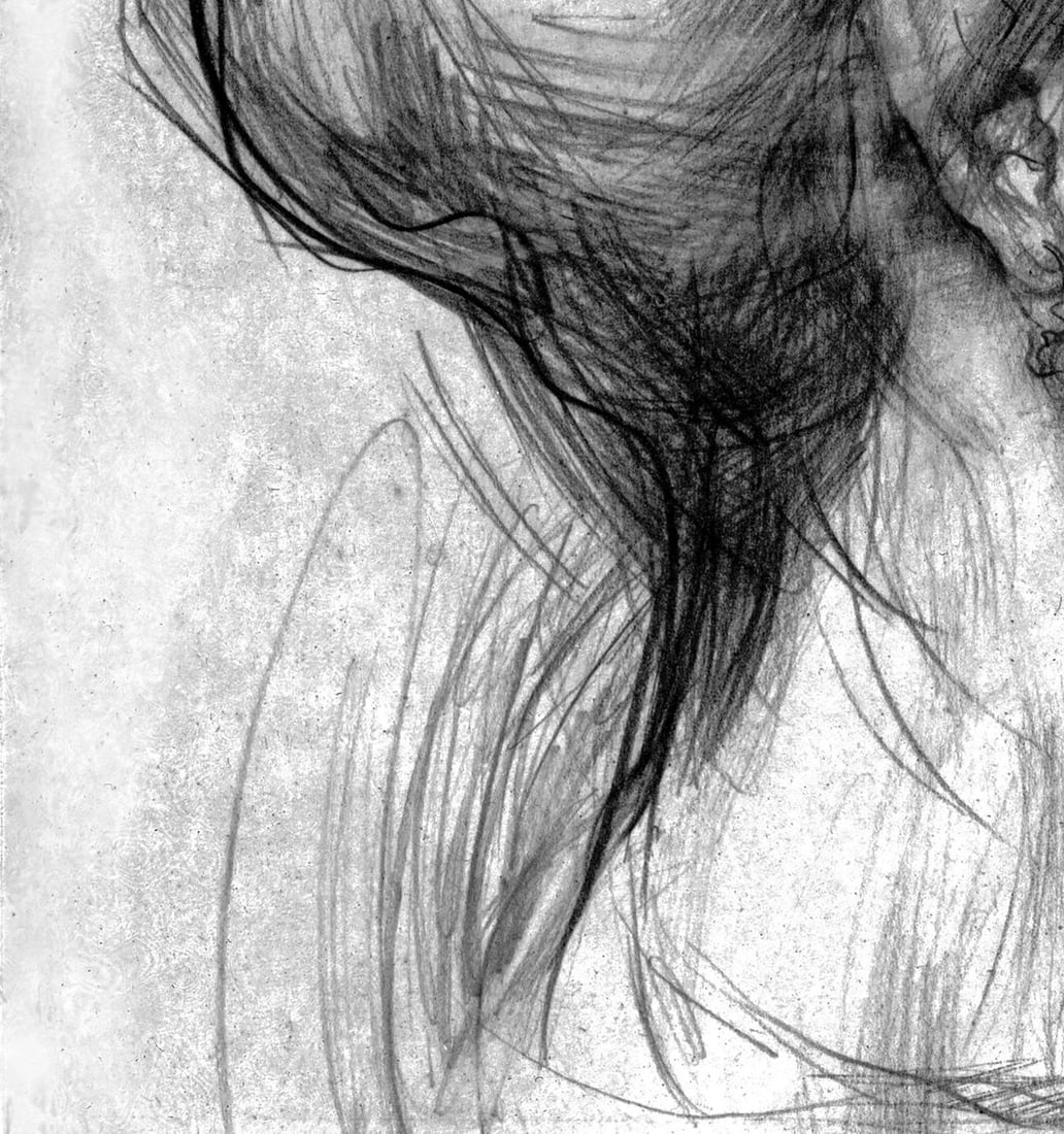 Pencil painting Profile of a woman Vasily Korkishko - 3