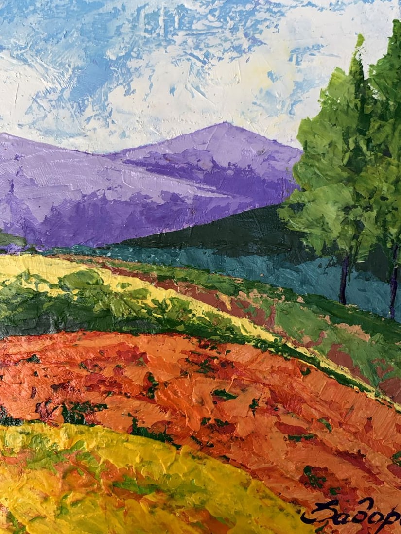 Oil painting Far away in the mountains V. Zadorozhnya - 9