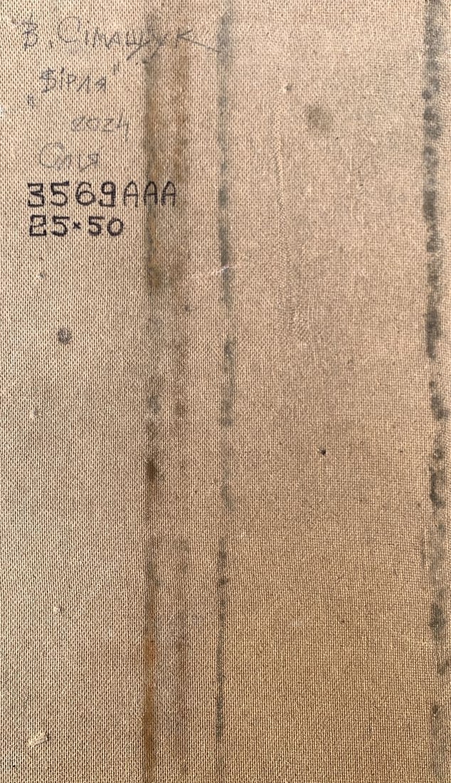 Oil painting The sun behind the clouds Valentina Simashchuk - 12