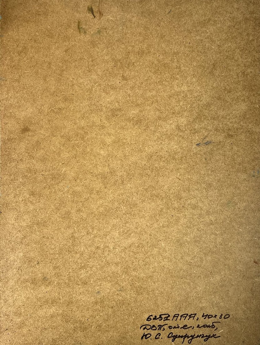 Oil painting The Fisherman Goes to the Boat Yuriy Suprunchuk - 11