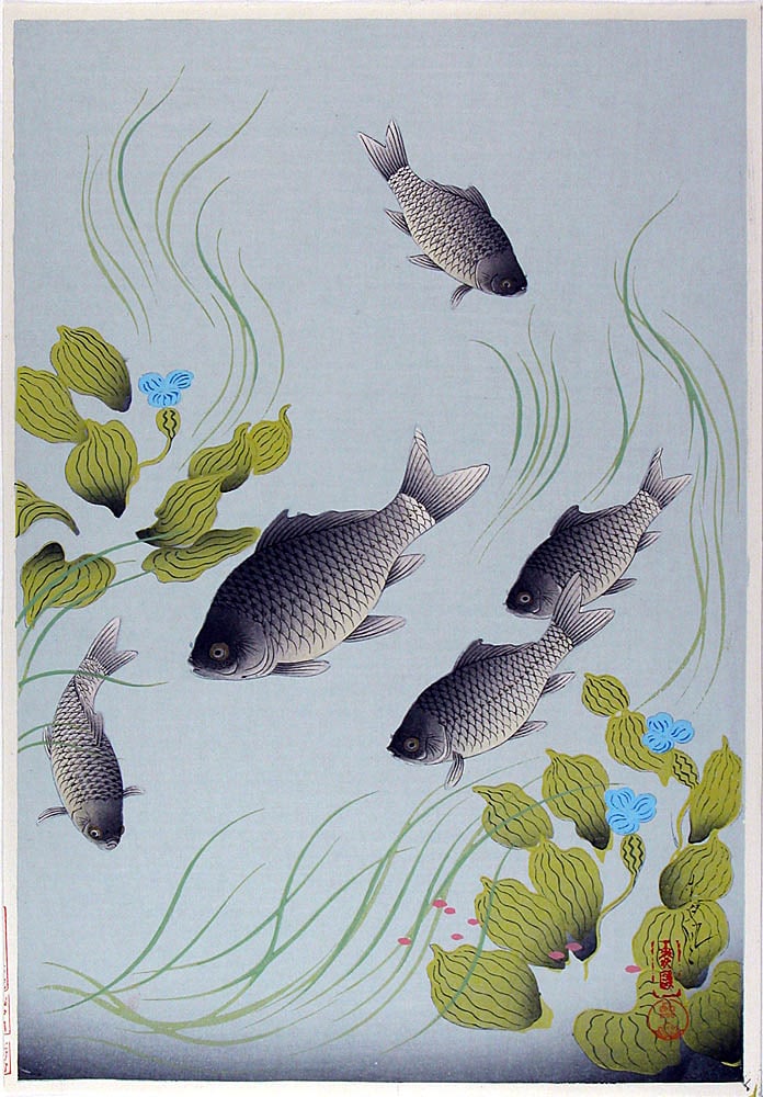 Ono BAKUFU (1890-1976): Funa ('Crucian carp'): Artist: Ono BAKUFU (1890-1976)Title:Funa ('Crucian carp')Series: Great Japanese Fish Picture Collection.Publisher:Hanmoto Kyoto Hanga-inDate:1937-55Medium:Woodblock printSize/Format:c. 15 1/2" x