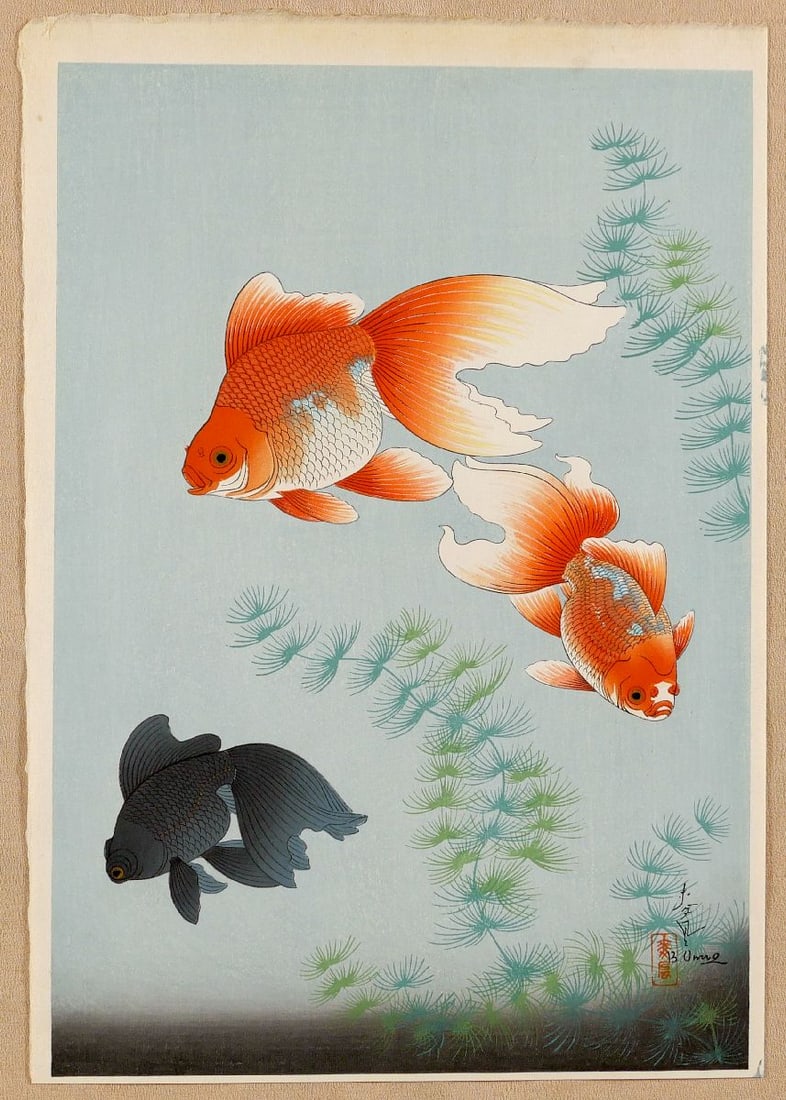 Ono BAKUFU (1890-1976): Goldfish: Artist: Ono BAKUFU (1890-1976)Title:GoldfishSeries: Great Japanese Fish Picture Collection.Publisher:Hanmoto Kyoto Hanga-inDate:c. 1952Medium:Woodblock printSize/Format:c. 15" x