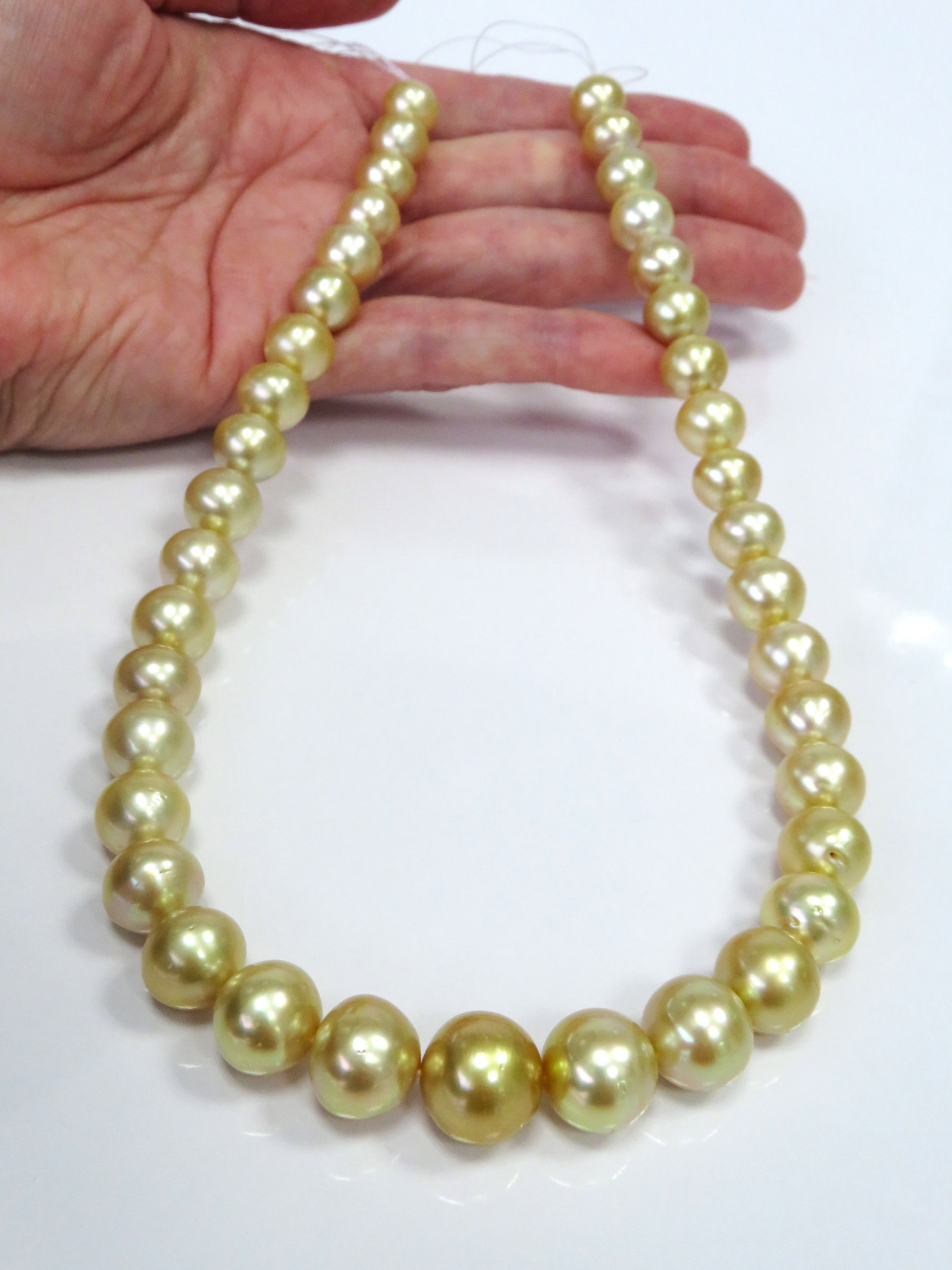 10-13mm Round/Button Golden South Sea Pearl Necklace Strand - 3