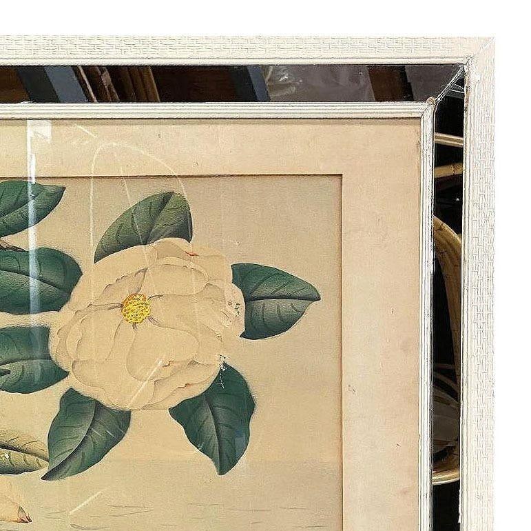 Pink Flamingo Watercolor Painting on Paper Signed by Shirrell Graves, Framed - 14