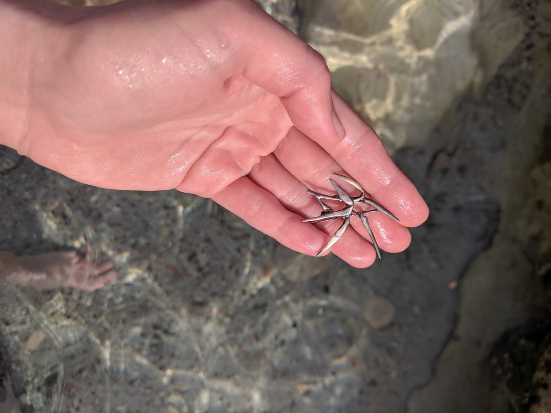 Bamboo Brooch in Silver - 2