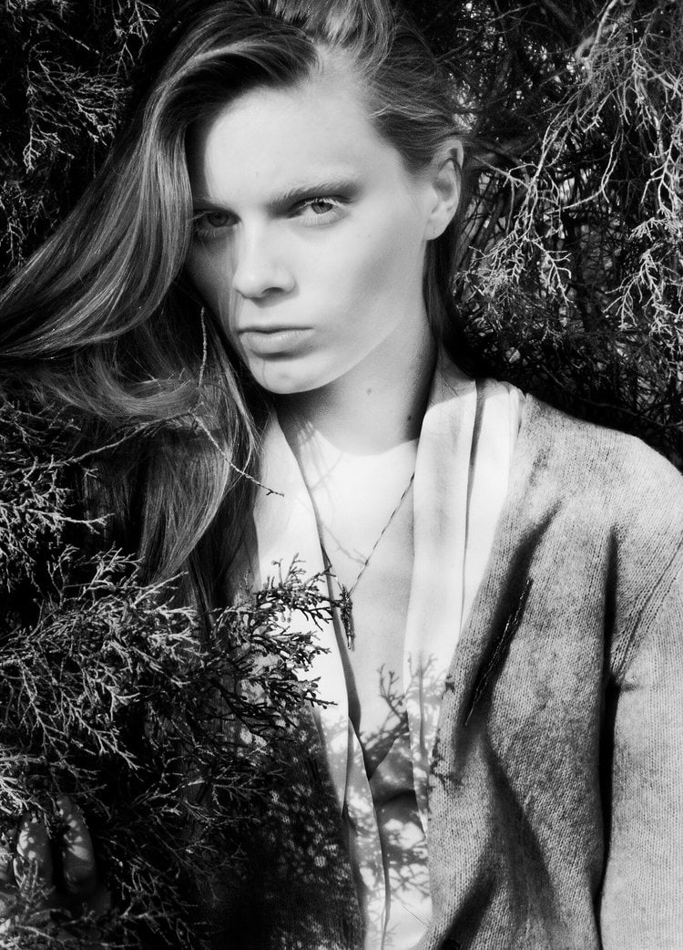 Sterling Silver Juniper Brooch - 2