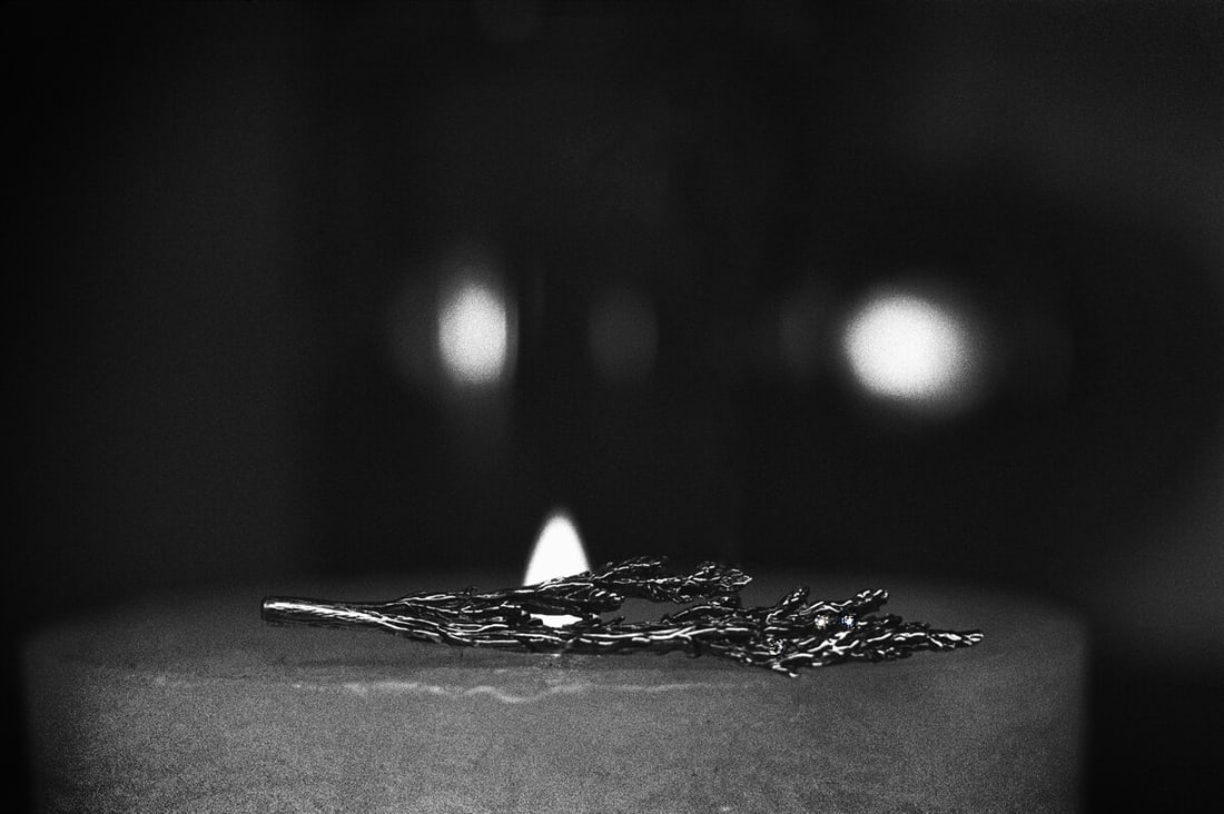 Sterling Silver Juniper Brooch - 4