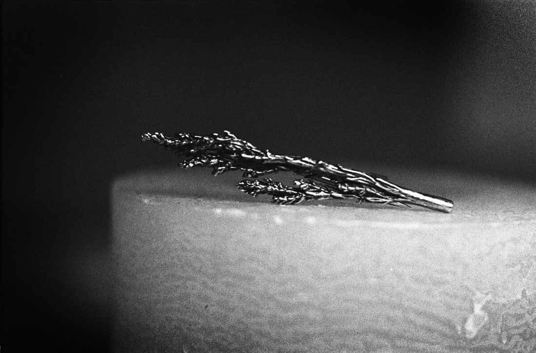 Sterling Silver Juniper Brooch - 5