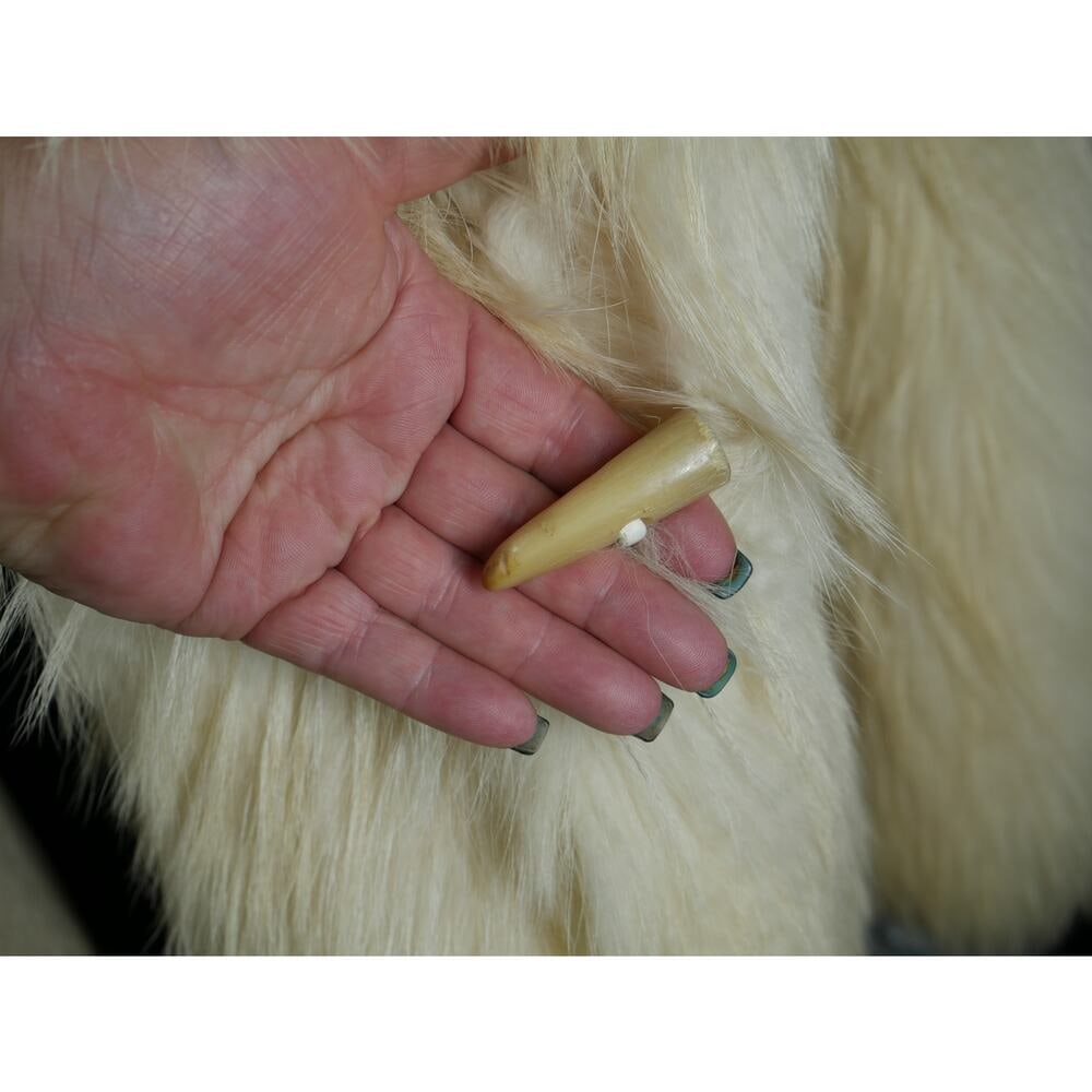 Amazing RARE Bleached Finnish Raccoon & Pearl Fox Fur Coat Jacket Unisex! - 8