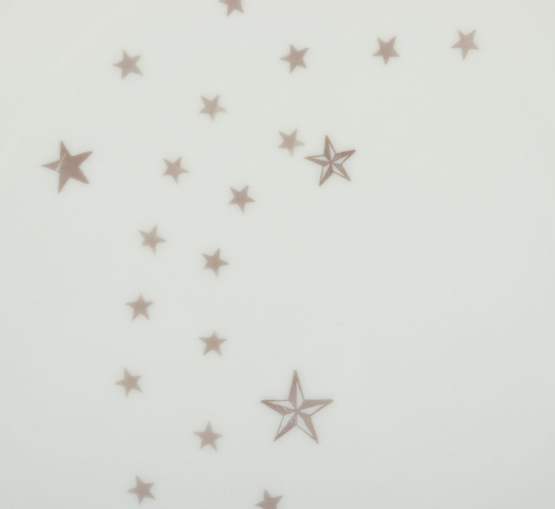 Bing and Grondahl, ”Mælkevej” (“Milky Way”). A set of eleven plates in - 3