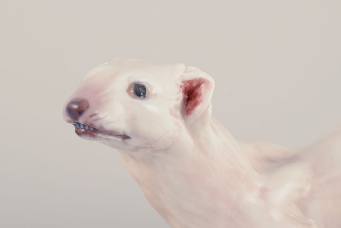 Dahl Jensen, porcelain figurine of ermine, 1930/40s - 2
