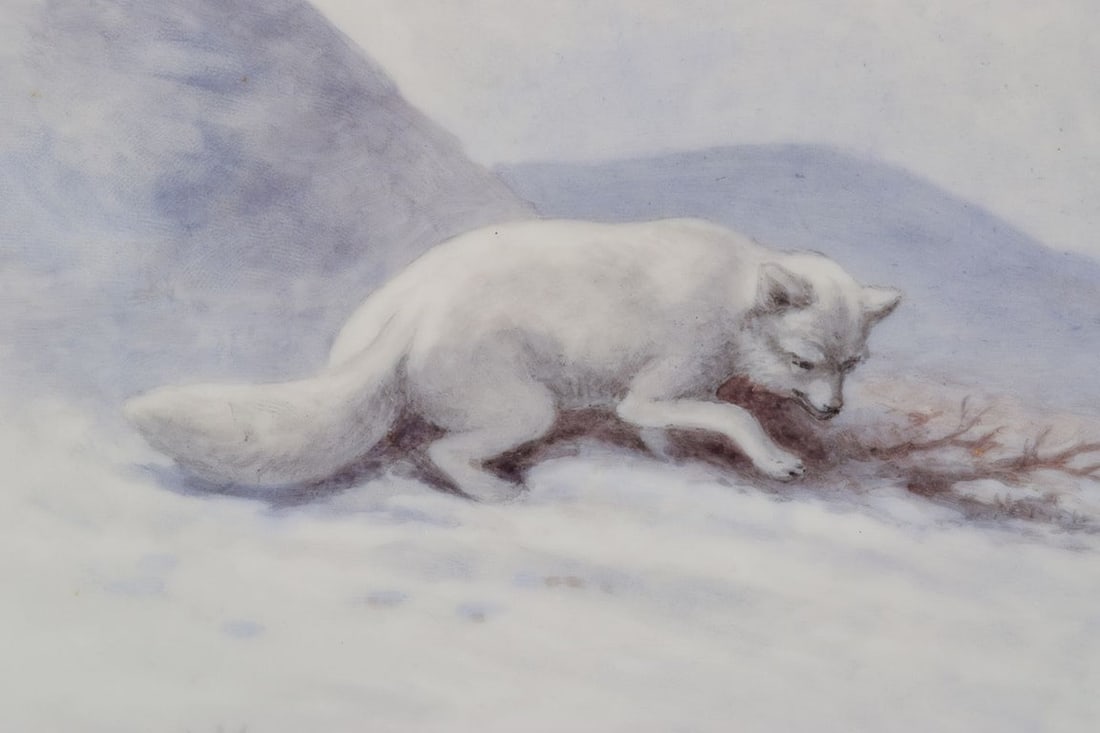 Royal Copenhagen Fauna Danica, porcelain dinner plate with a motif of arctic fox. - 4