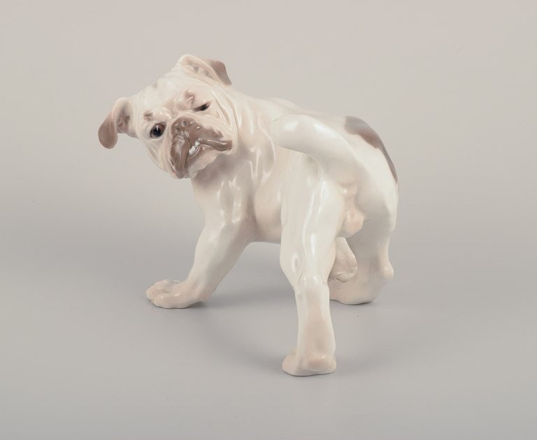 Bing & Grøndahl, English Bulldog. - 2