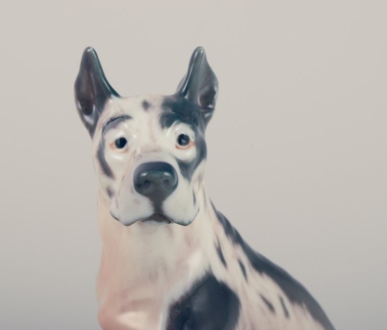 Dahl Jensen, porcelain figurine of a Great Dane. - 4