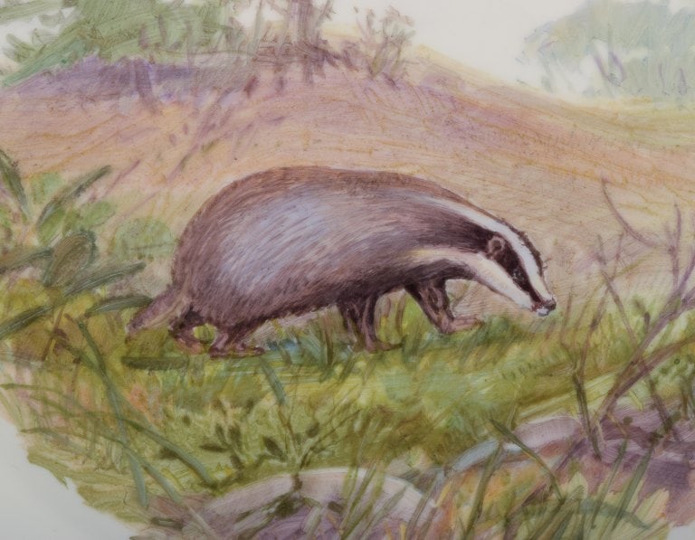 Royal Copenhagen Fauna Danica. Porcelain plate. Hand-painted with a motif of a badger. - 5