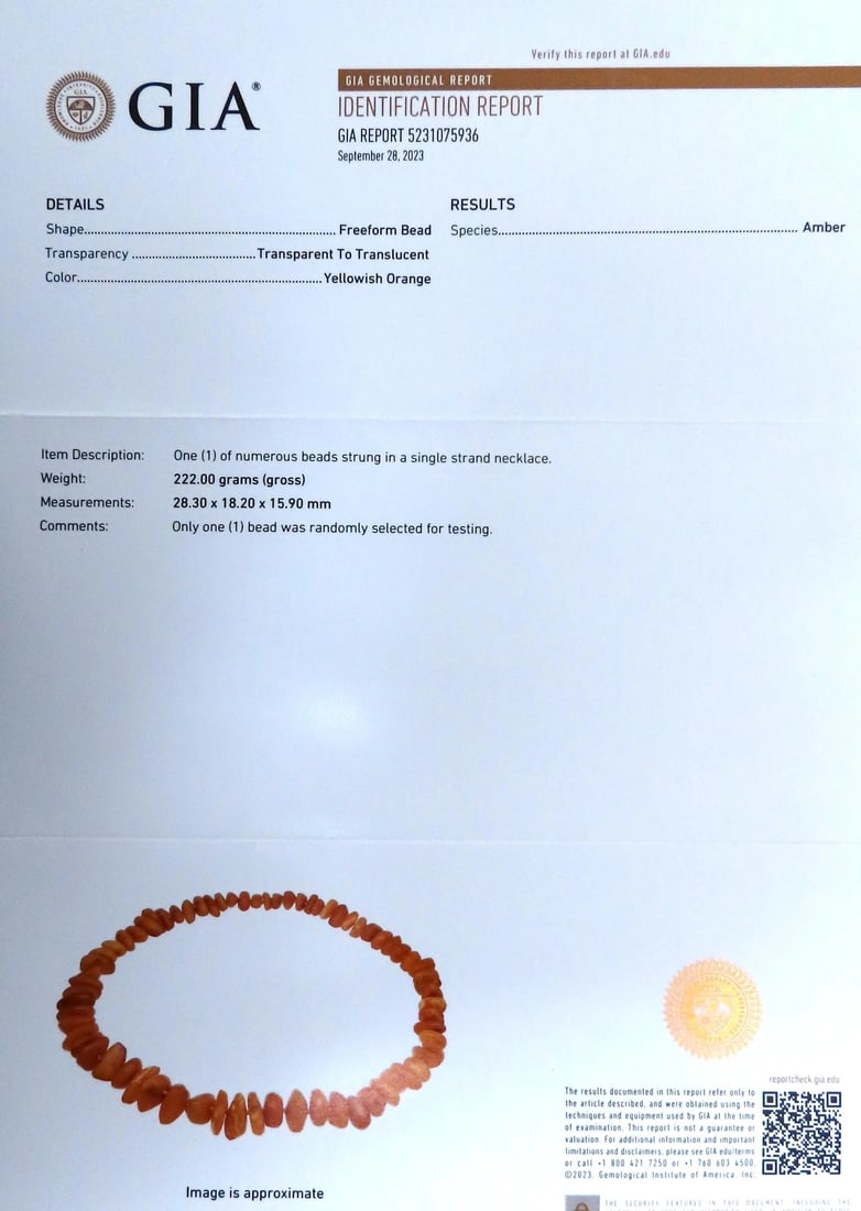 GIA Certified Natural Yellow Orange Amber Bead Necklace 12416** - 4