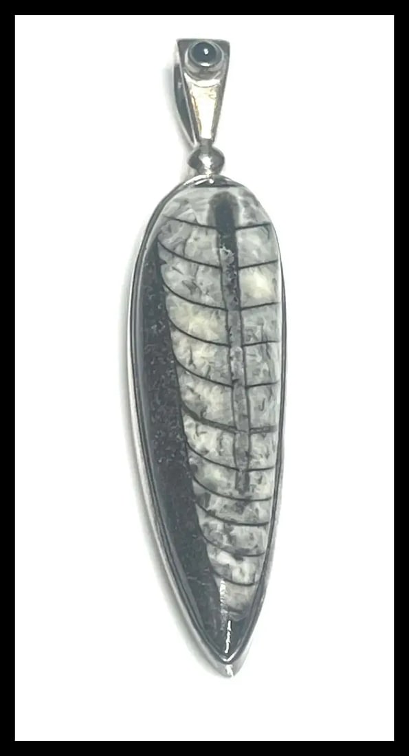 Estate Sterling Silver Sajen Orthoceras Pendant - 2