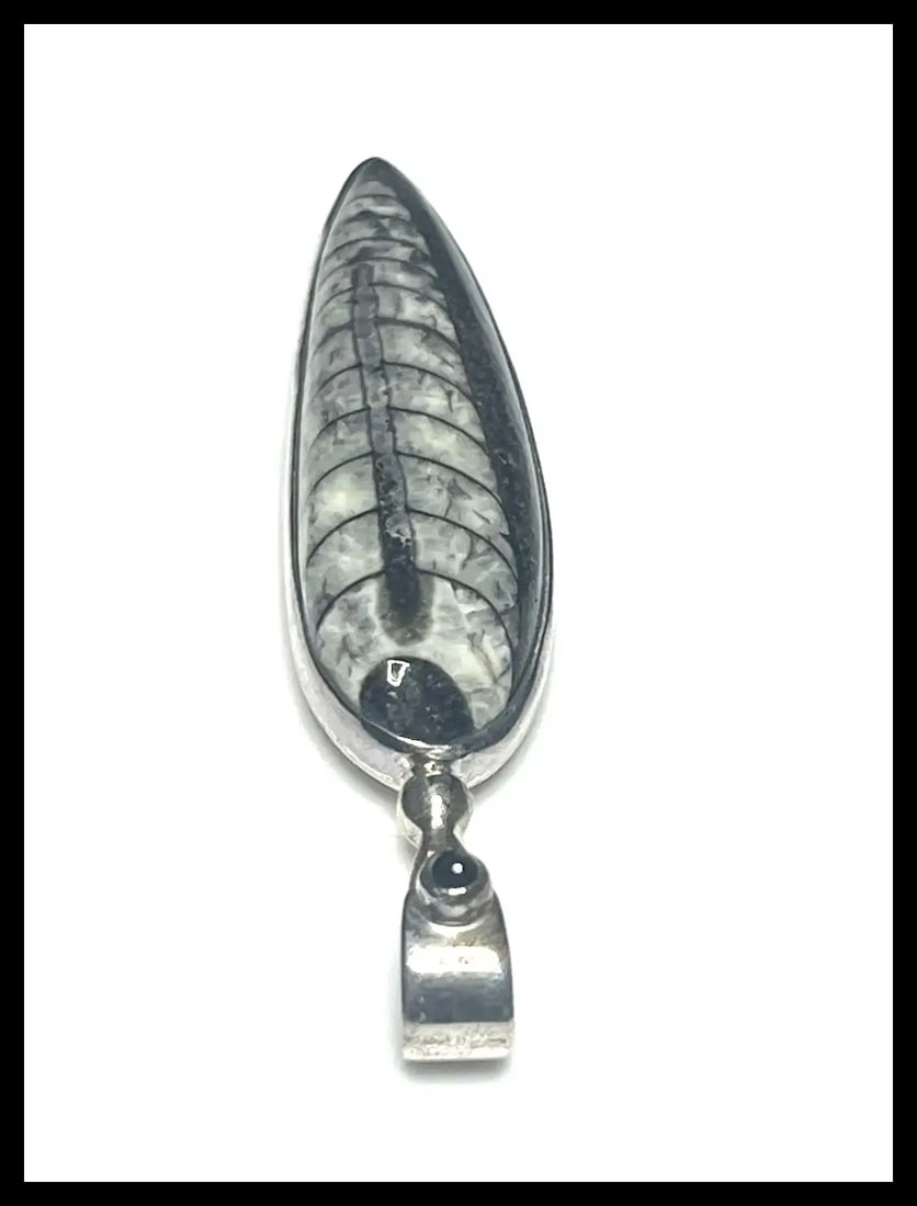 Estate Sterling Silver Sajen Orthoceras Pendant - 4