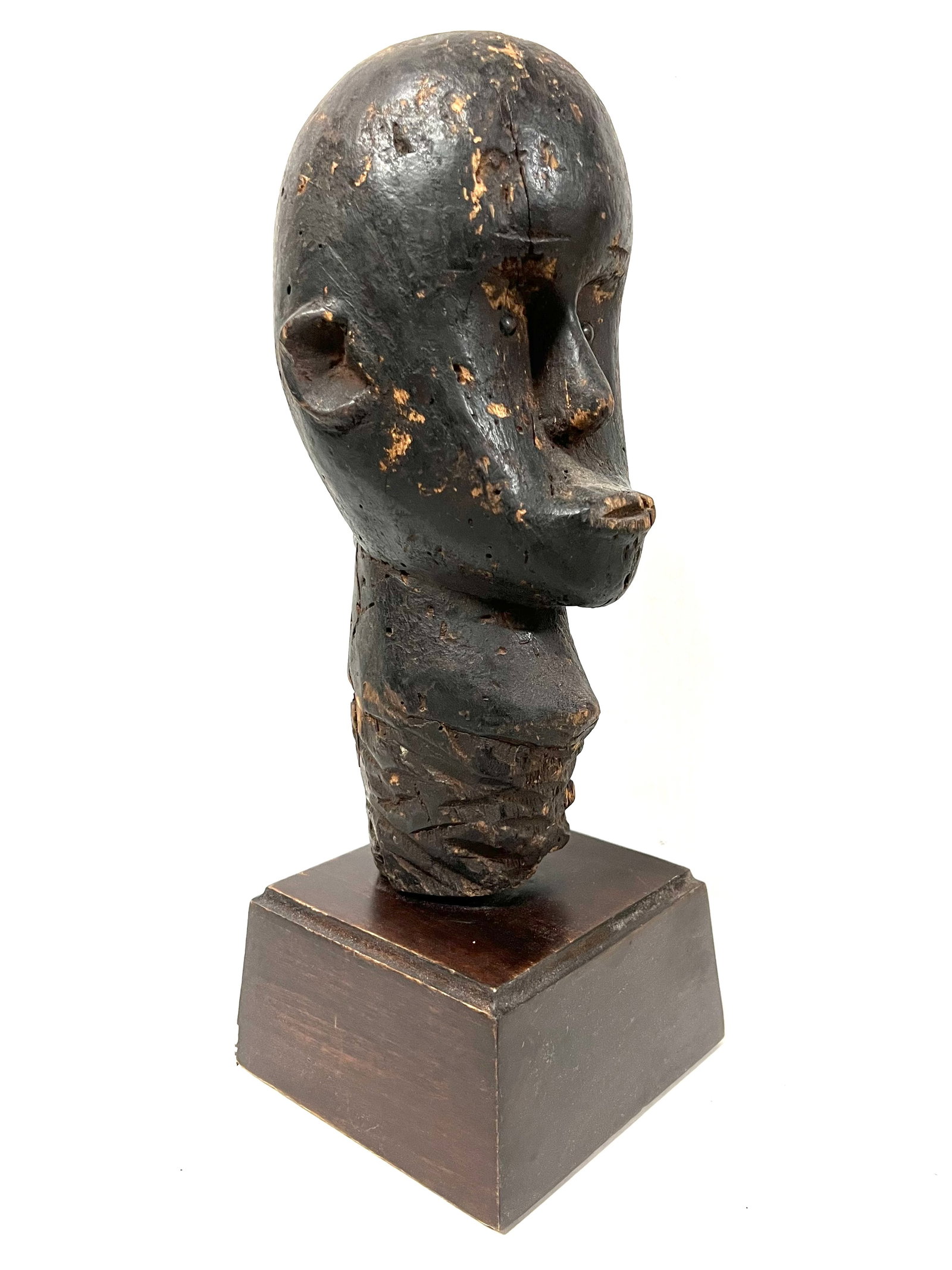 Fang Head Statue with Display Stand - 3