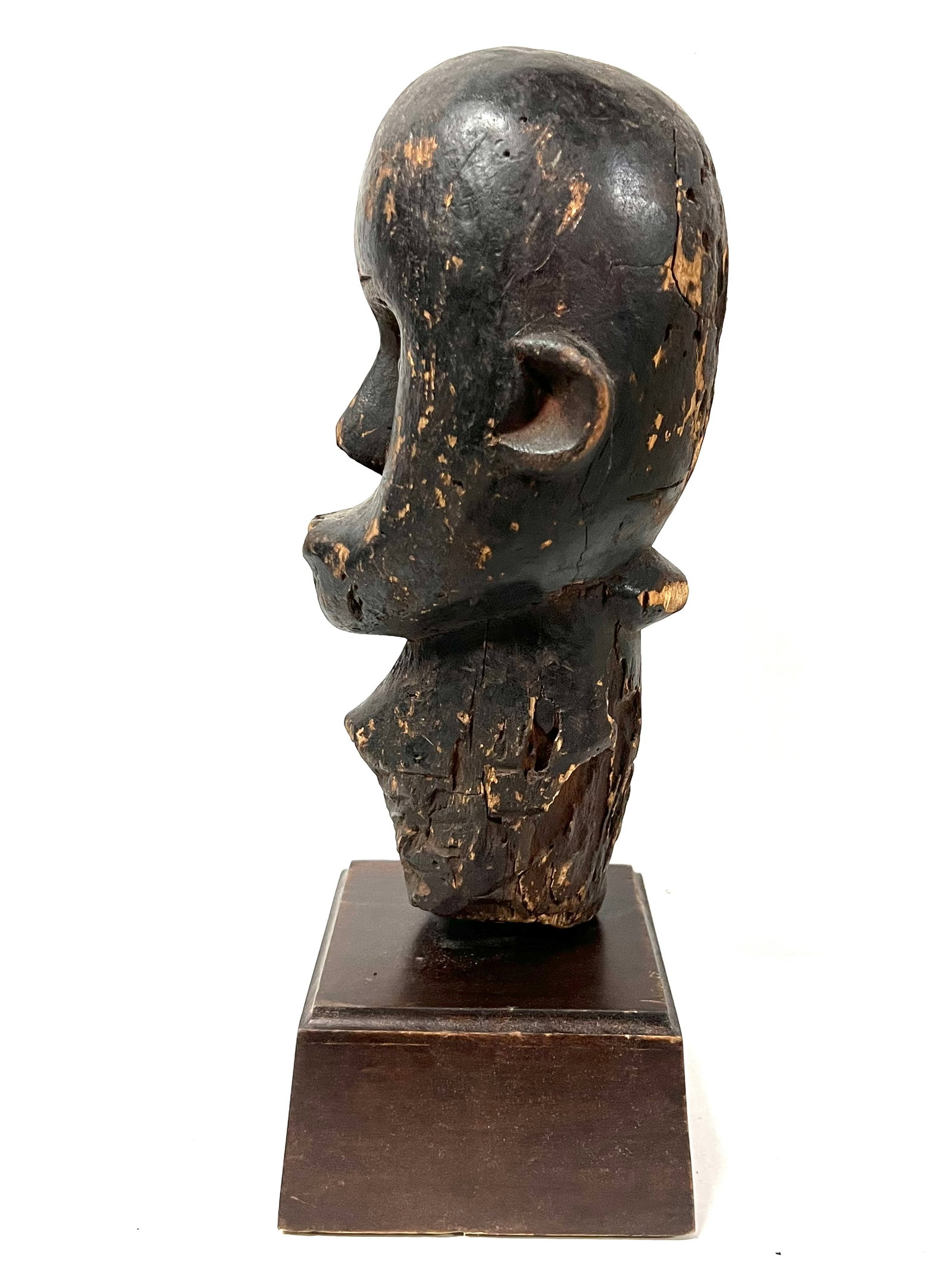 Fang Head Statue with Display Stand - 6