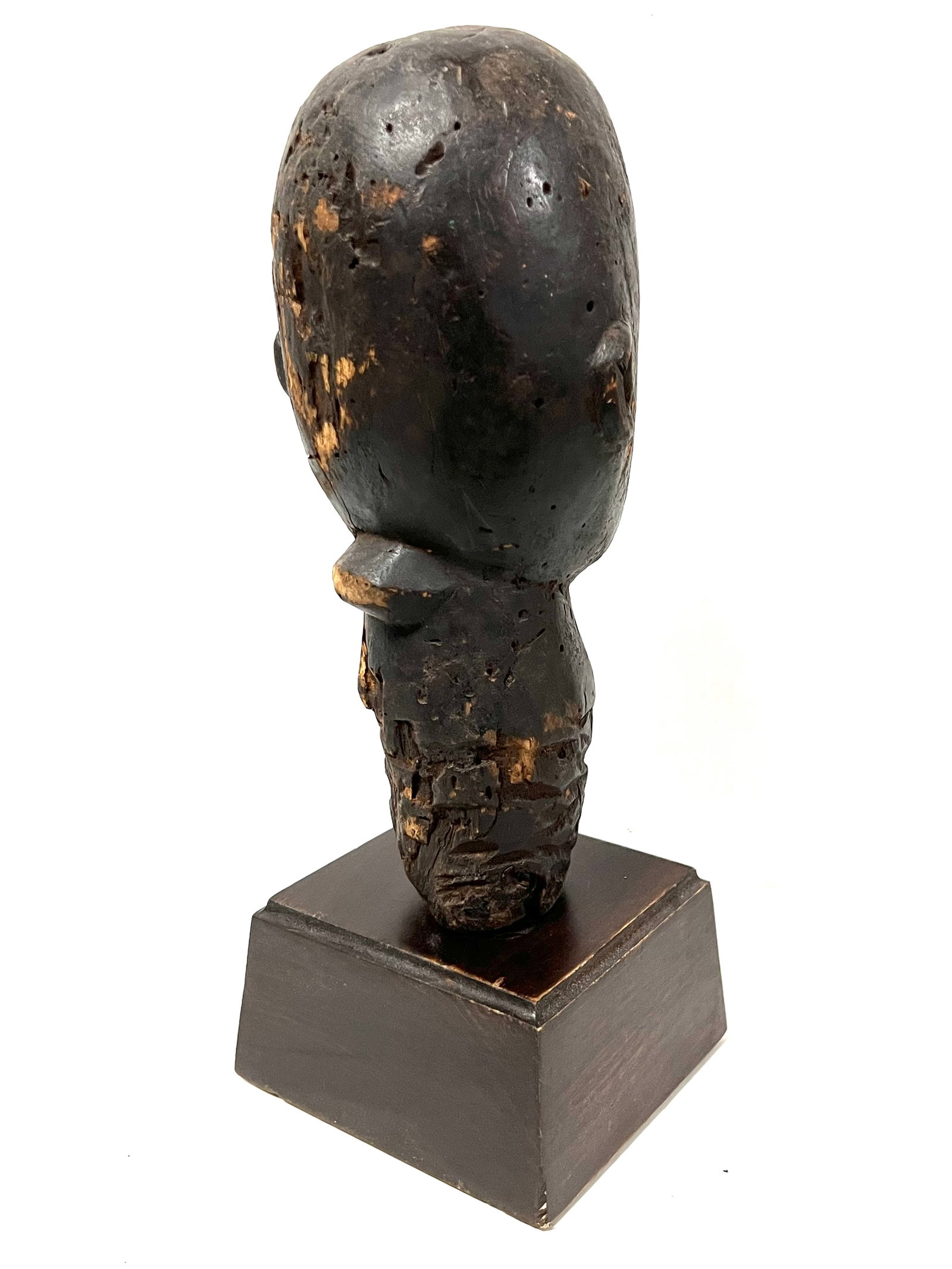 Fang Head Statue with Display Stand - 8