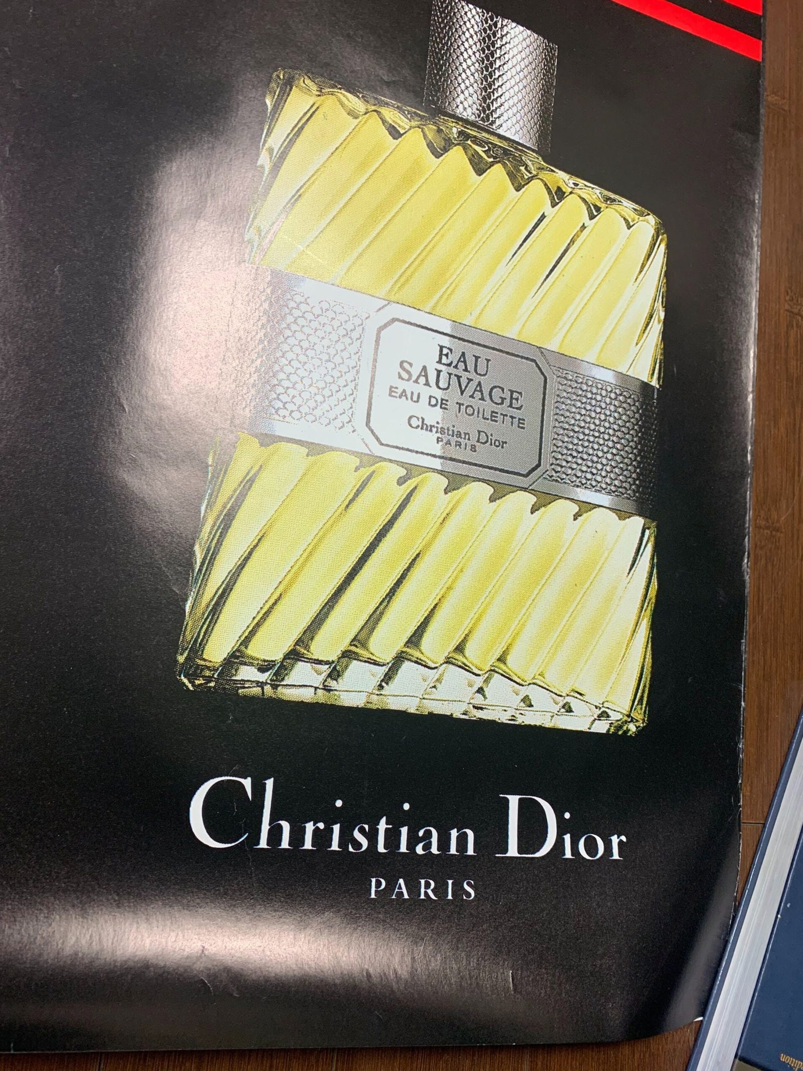 Dior Eau Savage 01 - Art By Rene Gruau (1990's) 46.5x68.75 US Advertising Poster - Double Sided - 5