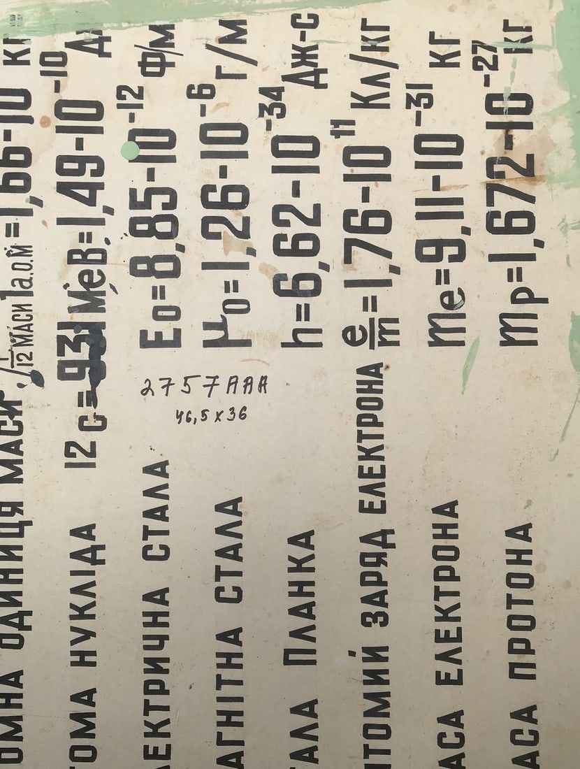 Oil painting Portrait of a girl Alexander Arkadievich Litvinov - 12