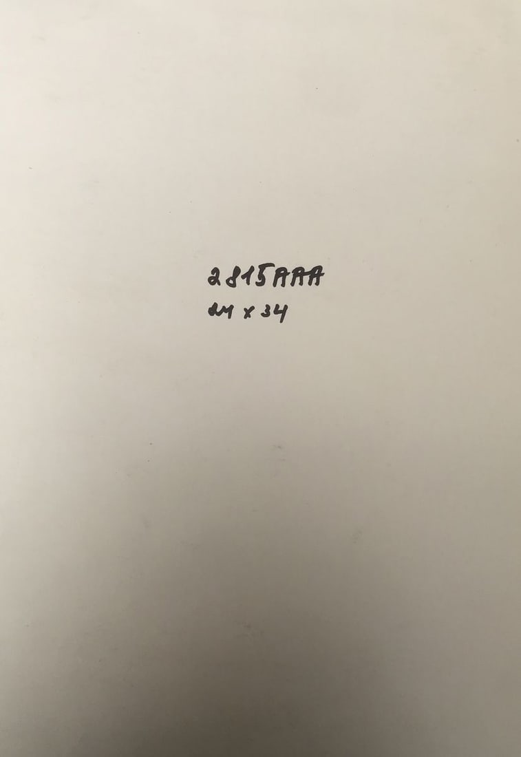 Watercolor painting King on horseback Alexander Arkadievich Litvinov - 12