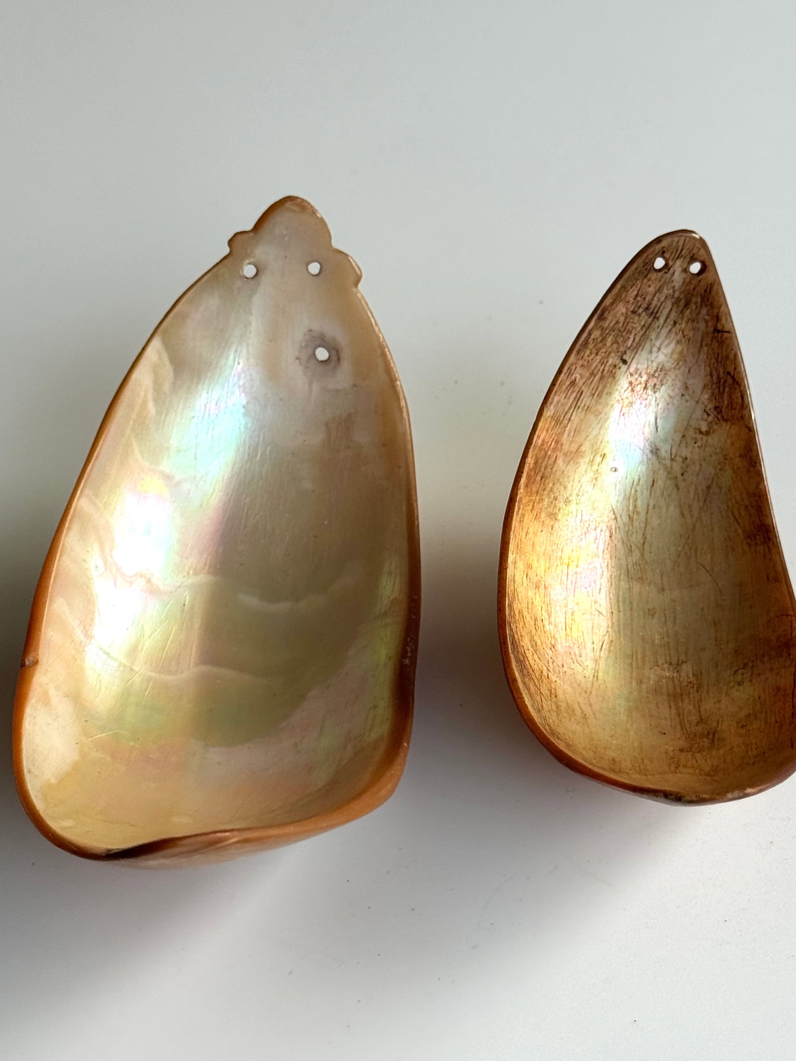 1950's field collected shell spoons Trobriand Islands - 8