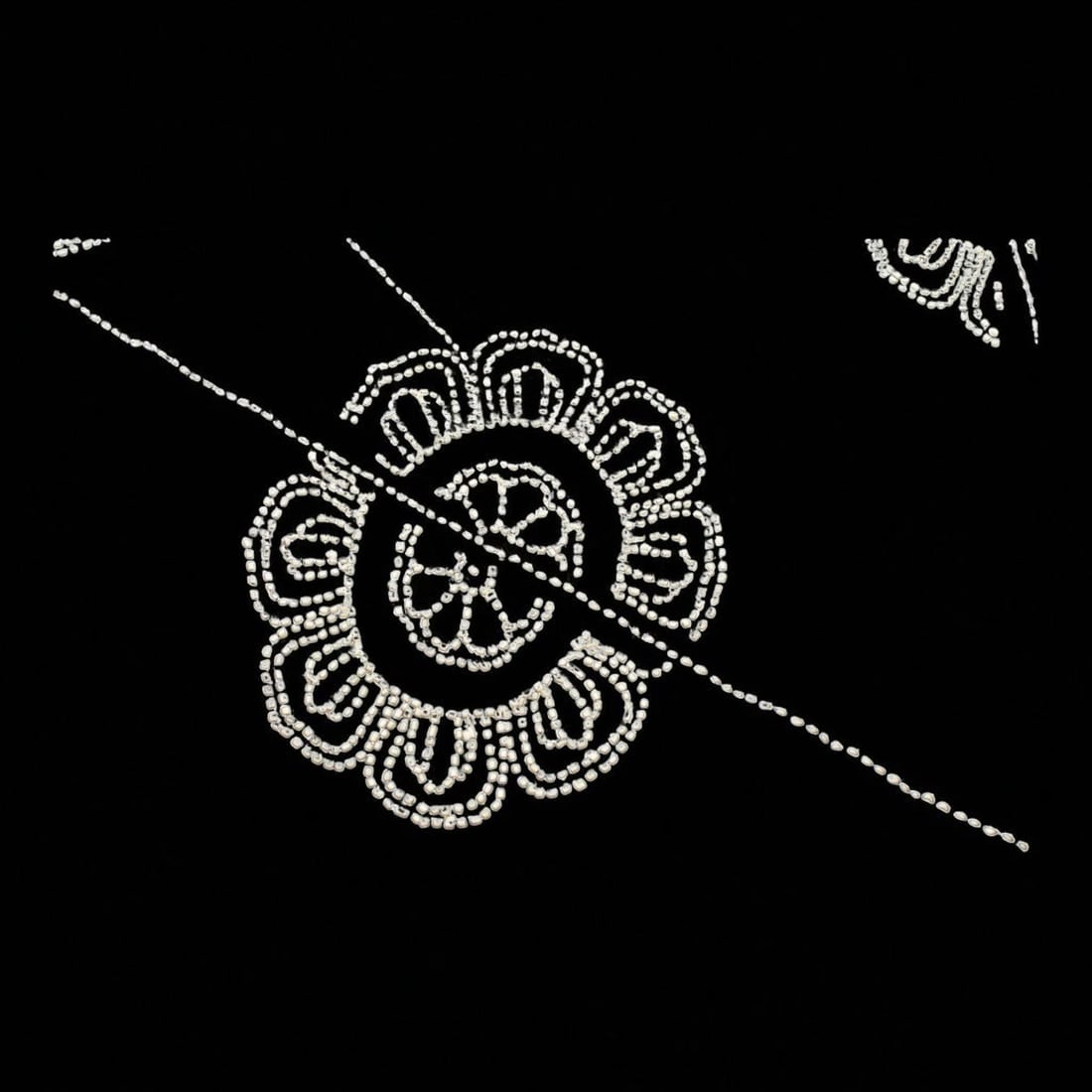 Peachoo + Krejberg Black Embellished Long Scarf – Floral Beadwork Design – NWT - 2