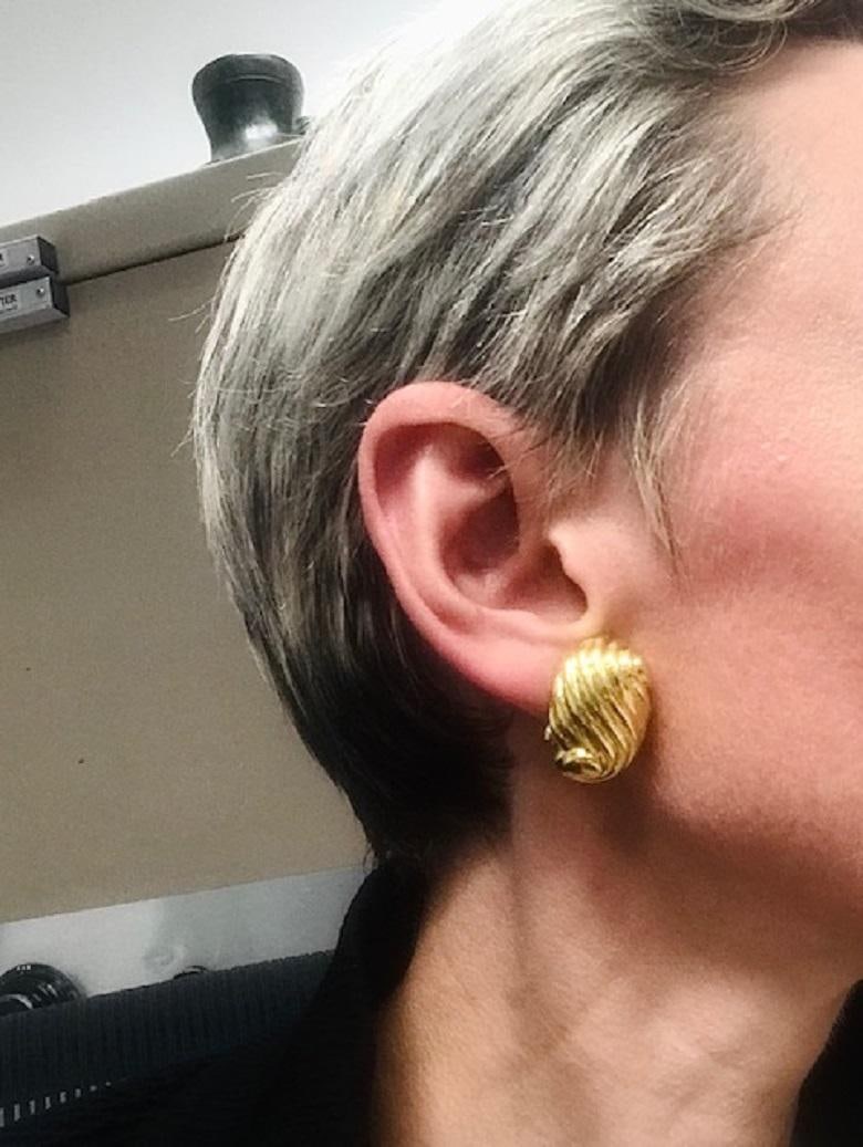 David Webb Gold Earrings, Swirl Shell - 2