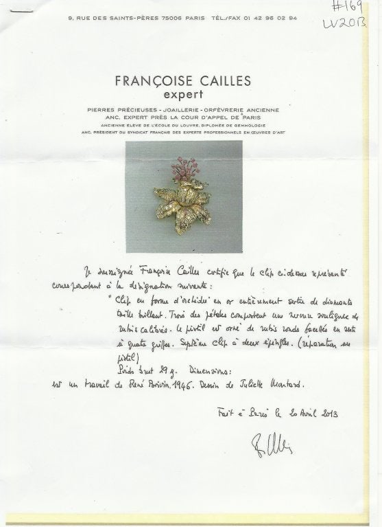 RENE BOIVIN Diamond Ruby & Yellow Gold Tremblant Brooch Pin - 19