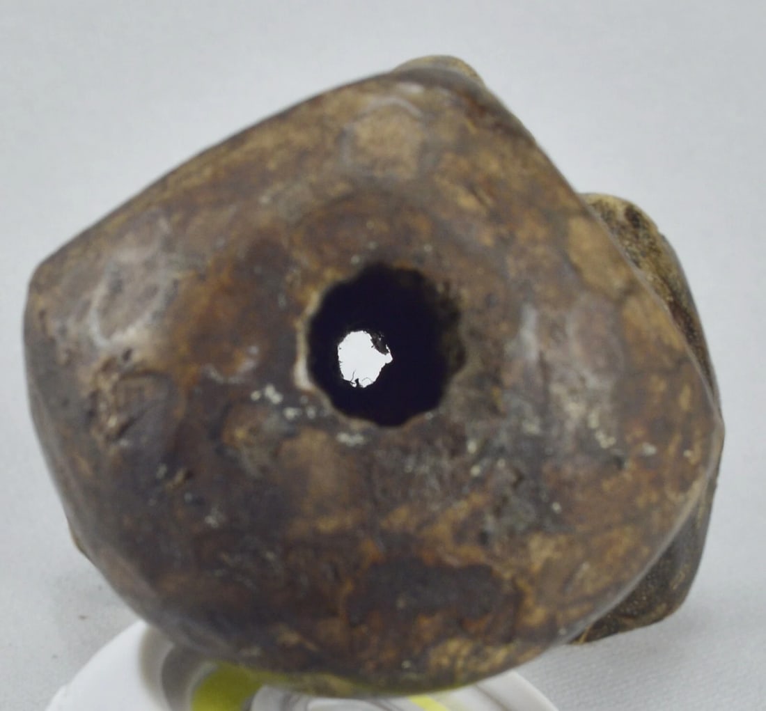 LEGA anthropomorphic figure Kakulu statue Bwami Congo African Tribal Art MC 1841 - 14