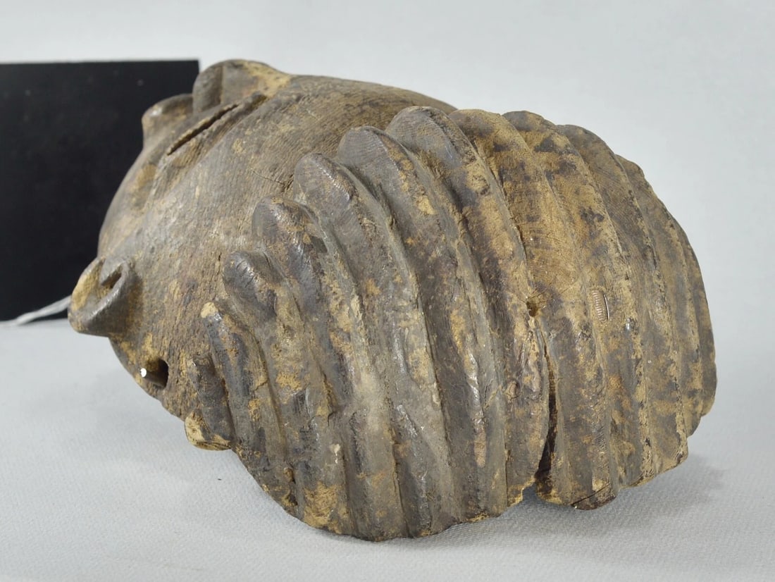 ZANDE AZANDE Rare & Powerful Ubangi Mask Congo DRC African Tribal Art 1741 - 10