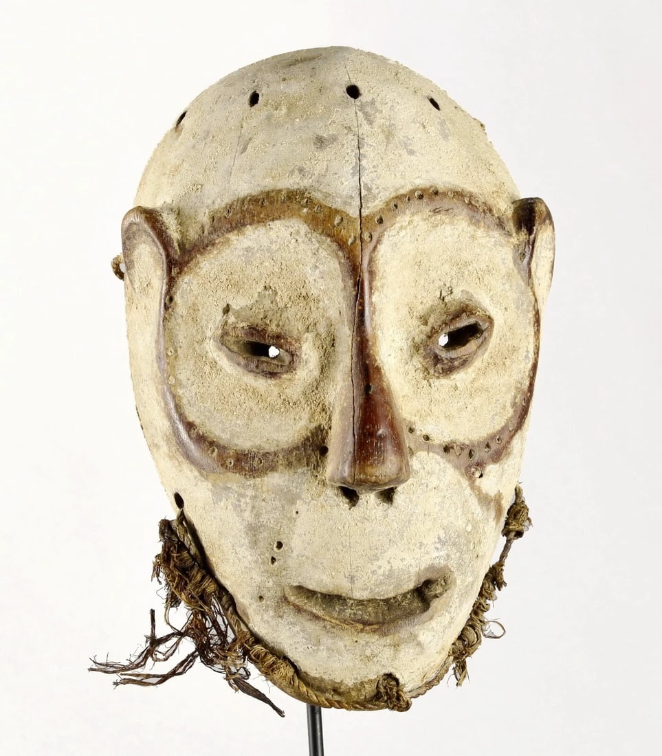 Superb LEGA Wood idimu Mask Bwami Cult Congo Zaire DRC African Tribal Art 1519 - 4