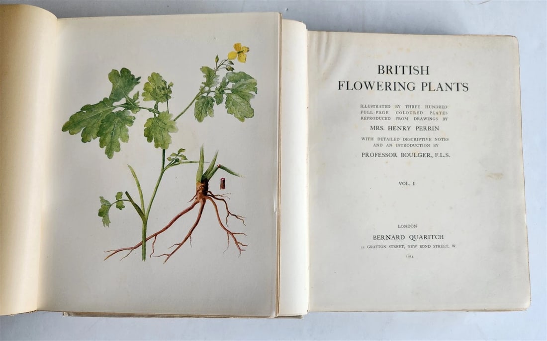 1914 BRITISH FLOWERING PLANTS antique ILLUSTRATED by PERRIN 2 folio volumes - 2