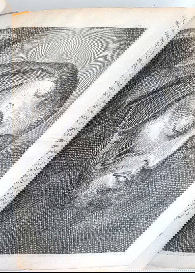 1687 MUSEUM ITALICUM ILLUSTRATED antique VELLUM BINDING vol. I - 7