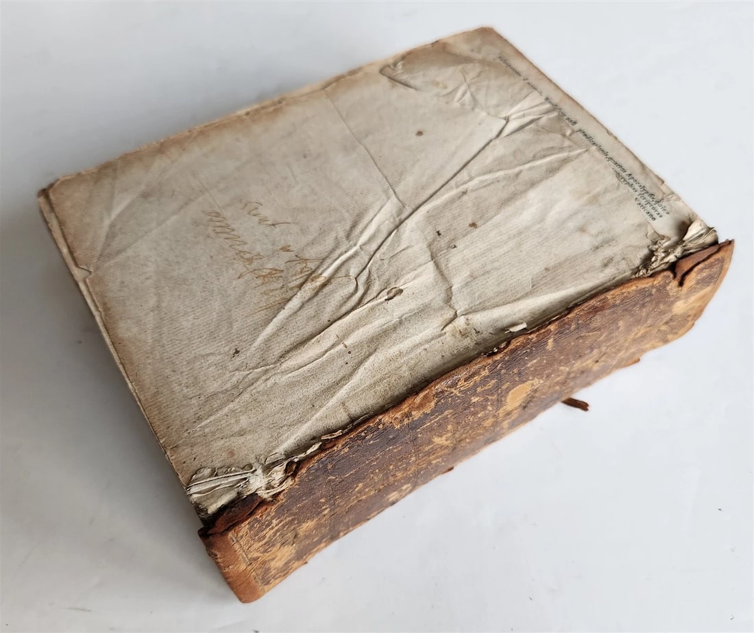 1541 BIBLE in LATIN antique rare BEAUTIFULLY ILLUSTRATED - 7