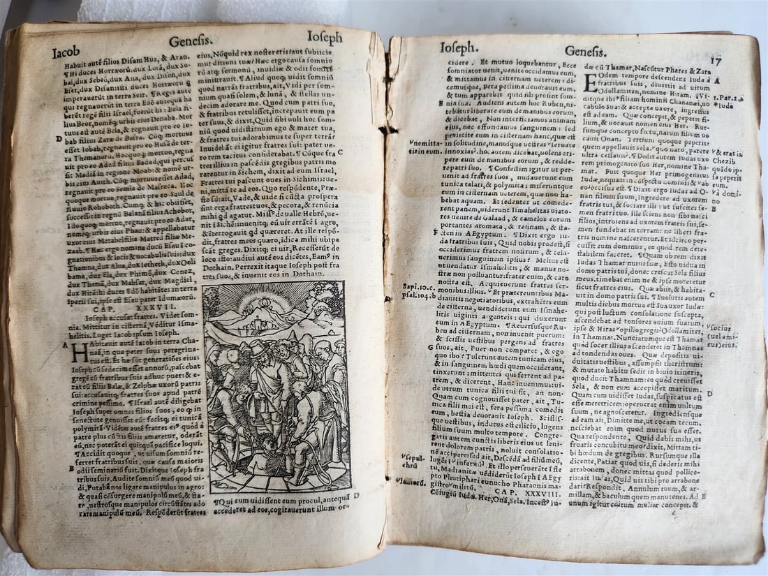 1541 BIBLE in LATIN antique rare BEAUTIFULLY ILLUSTRATED - 8