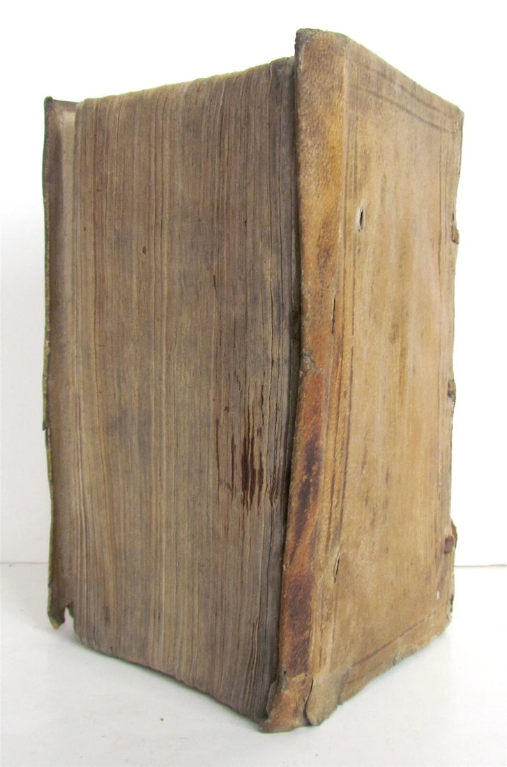 1624 CASPARIS ENS EPIDORPIDUM antique - 3